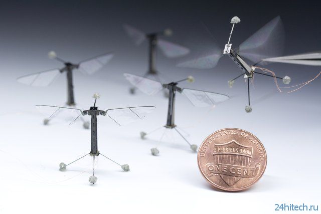 Ученые показали летающего робота-насекомое (видео)