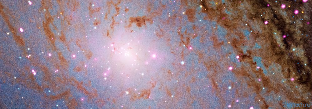 Что нашли ученые в галактике "Андромеды"?