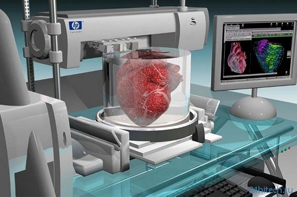 Учёные занялись созданием сердца при помощи 3D-печати