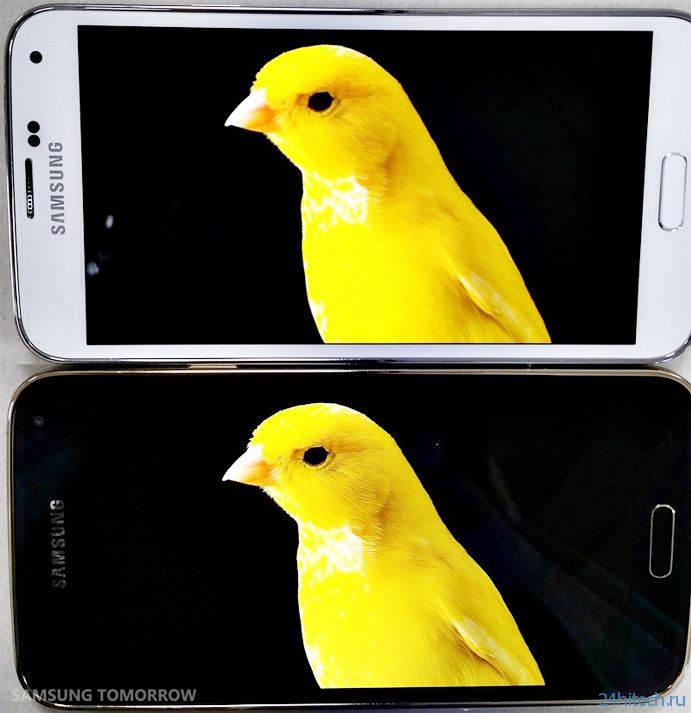 Samsung рассказала подробнее о WQHD-экране смартфона Galaxy S5 LTE-A