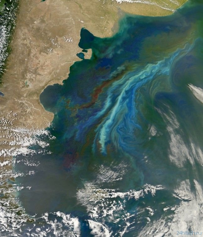 Плотные облака над океанами формируются благодаря планктону