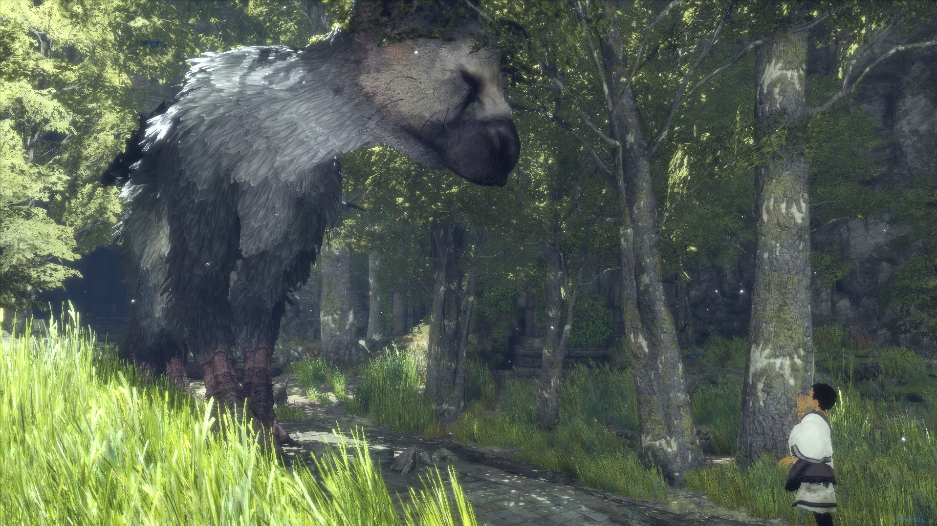 Игра the last guardian. The last Guardian. The Guardian игра. Игра the last Guardian ps4. Зе ласт Гарден.