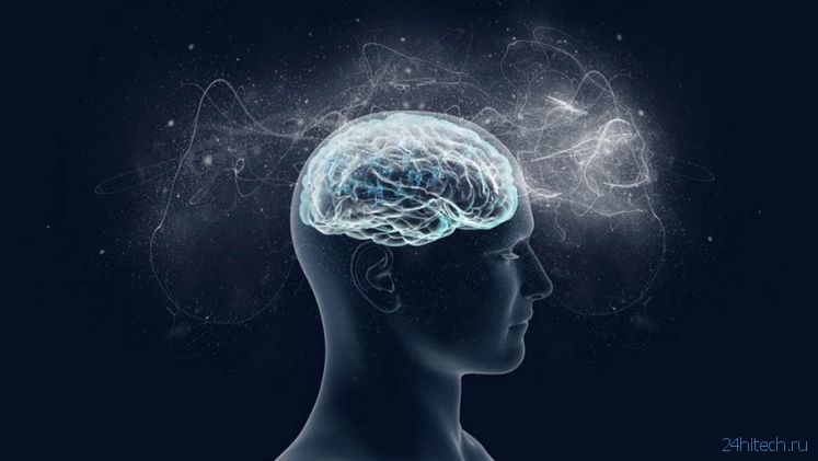 Учёные вернули сознание человеку с умершим мозгом