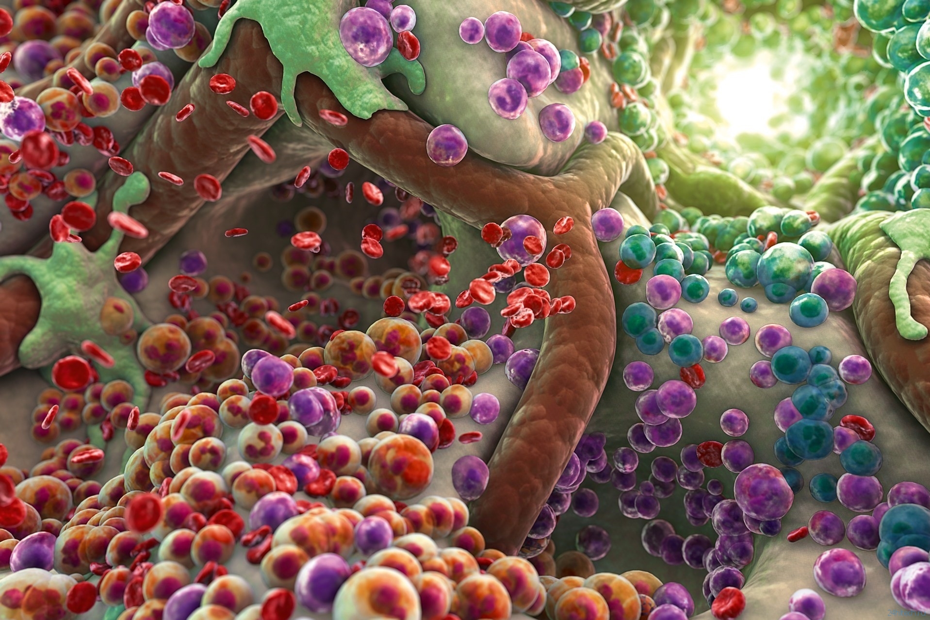 Новый микроскоп создаёт 3D-изображения клеток и органов в реальном времени
