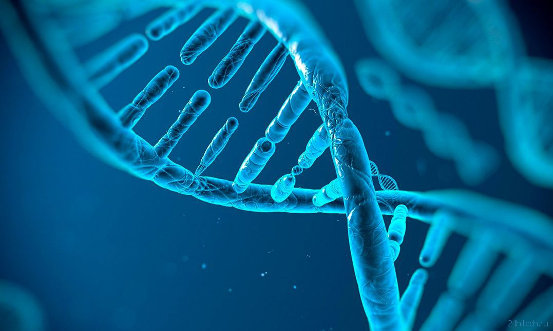 Учёные впервые отредактировали геном непосредственно внутри живого человека