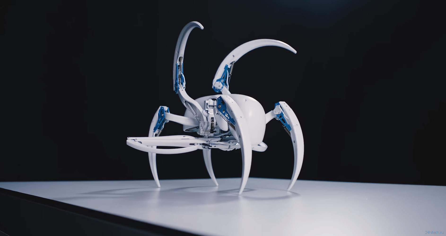 видео дня | Новый робот-паук от компании Festo