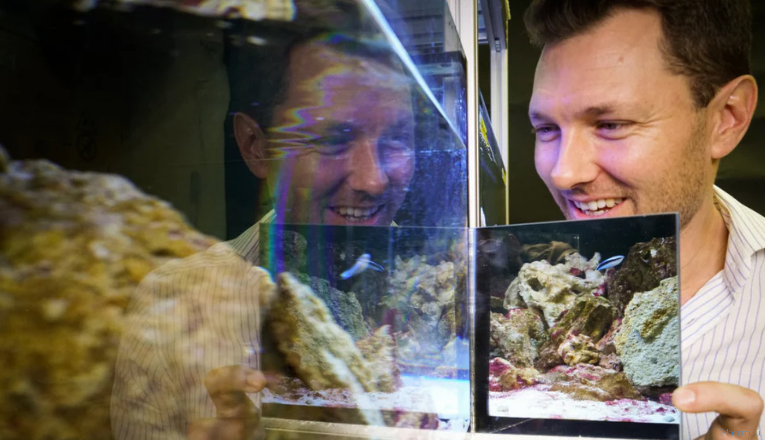 Эксперимент: узнают ли рыбы себя в зеркале?