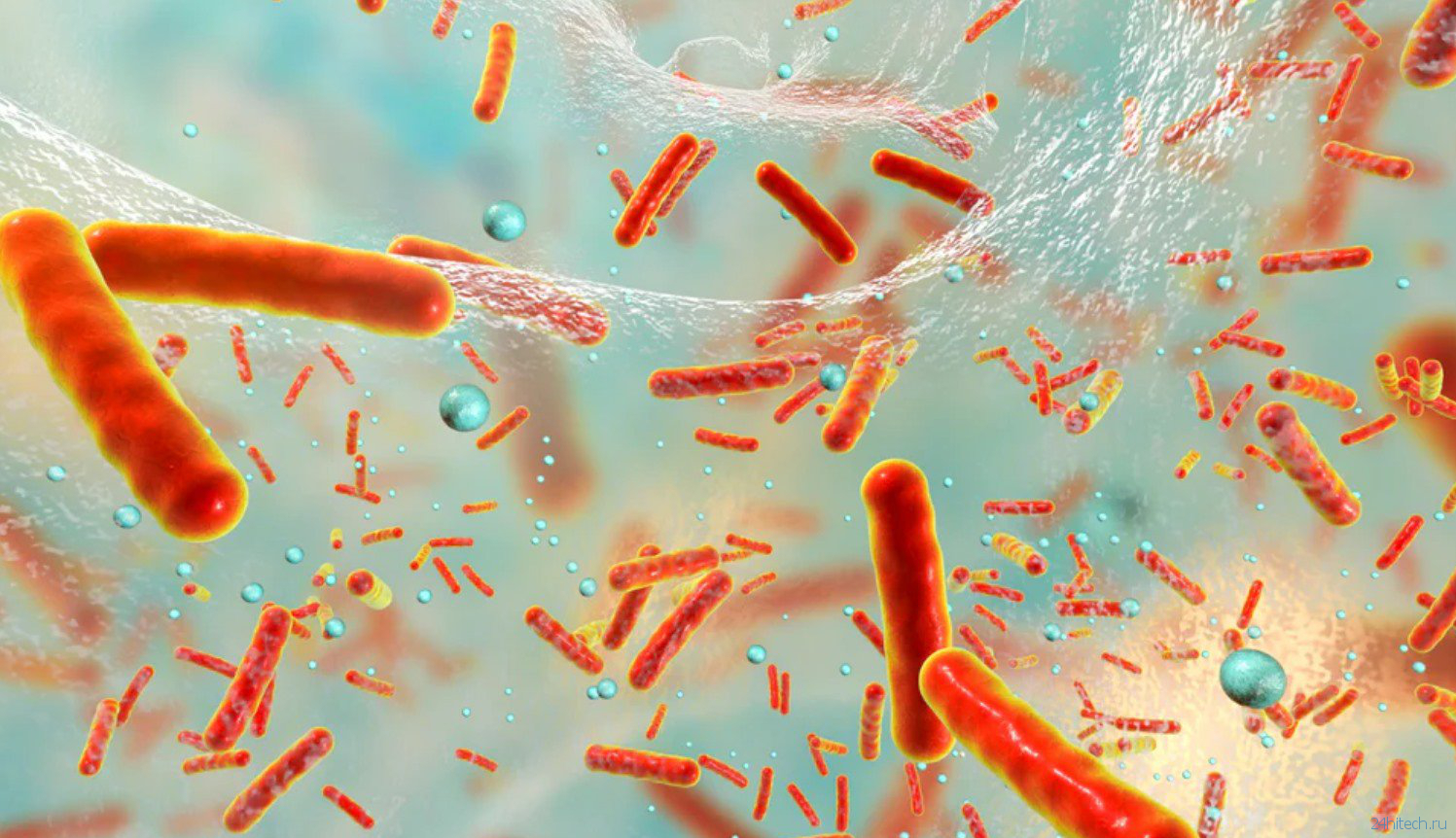 Доказано: бактерии жертвуют собой, чтобы защитить колонию от антибиотиков