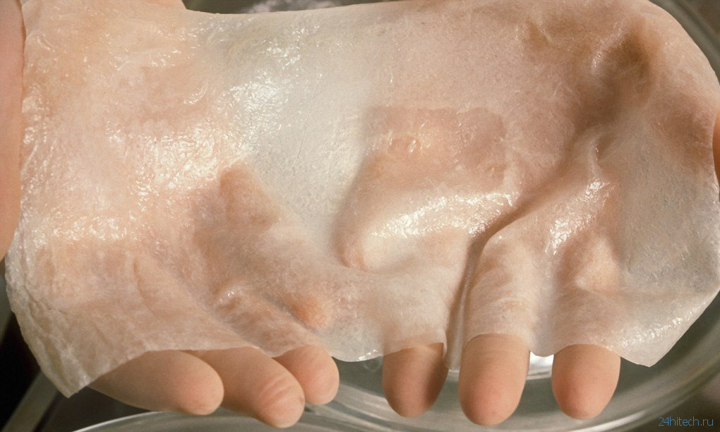 Ученые разработали искусственную кожу со «сверхчеловеческими» возможностями