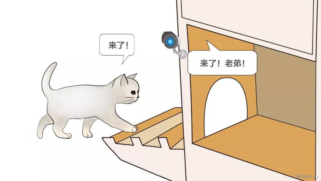 В Китае создали «умный» приют для бездомных кошек