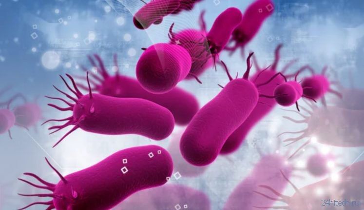 Режим зомби: ученые открыли новое состояние бактерий