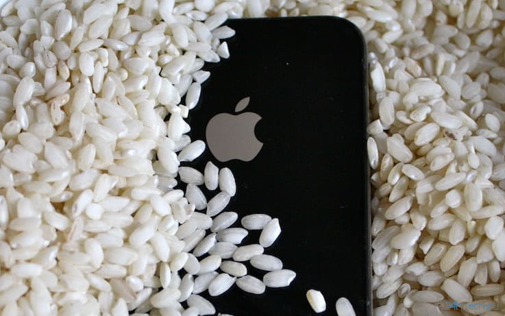 Айфон и рис: вся правда о том, нужно ли держать «утонувший» смартфон в крупе?