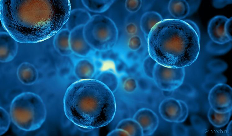 CRISPR сделал стволовые клетки «невидимыми» для иммунной системы