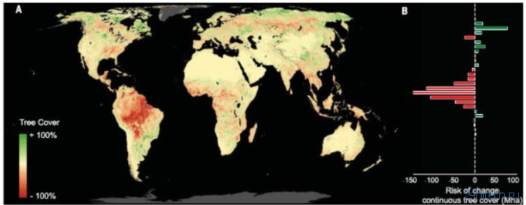 Что будет, если на Земле появится лес размером с континент?