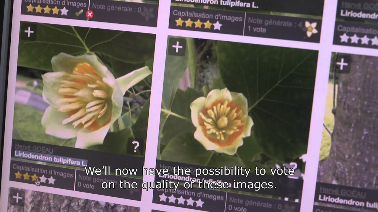 Программа распознавания растений по фото для андроид на русском языке