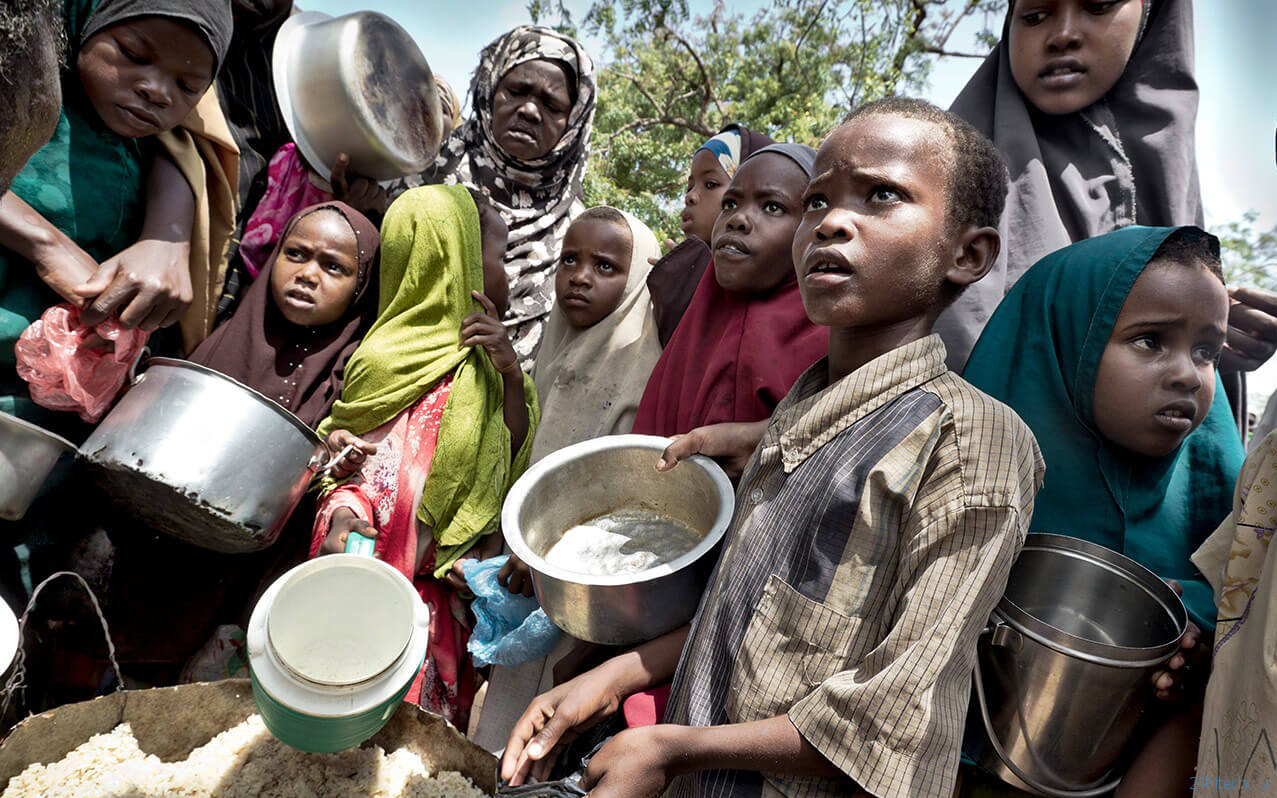 Спутниковые снимки и социальные сети помогут остановить голод среди людей