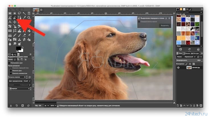 Как удалить фон без фотошопа: несколько полезных приемов работы в GIMP для работы с фоном