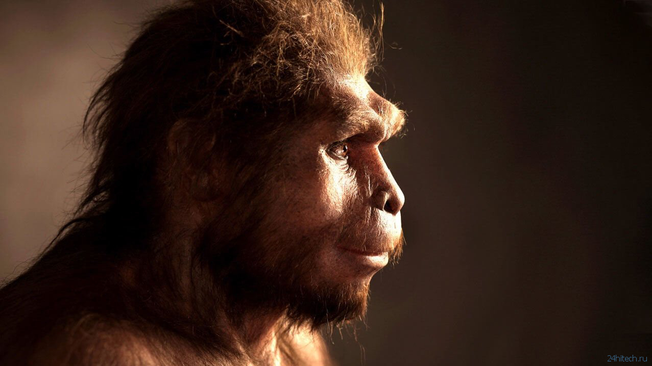 Обнаруженные останки предков человека меняют наше представление об эволюции Homo Sapiens