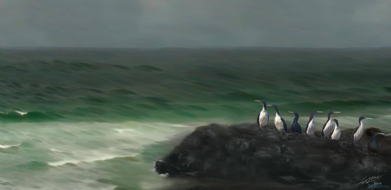 Открыт новый вид древних пингвинов, который был максимально похож на современных