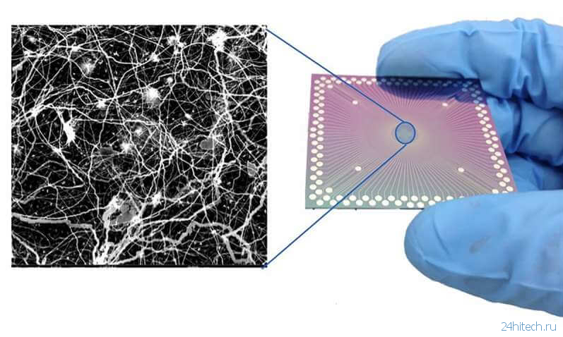Ученые создали чип, очень похожий на человеческий мозг