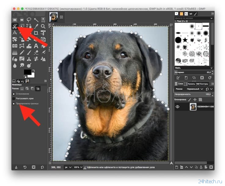 Как удалить фон без фотошопа: несколько полезных приемов работы в GIMP для работы с фоном