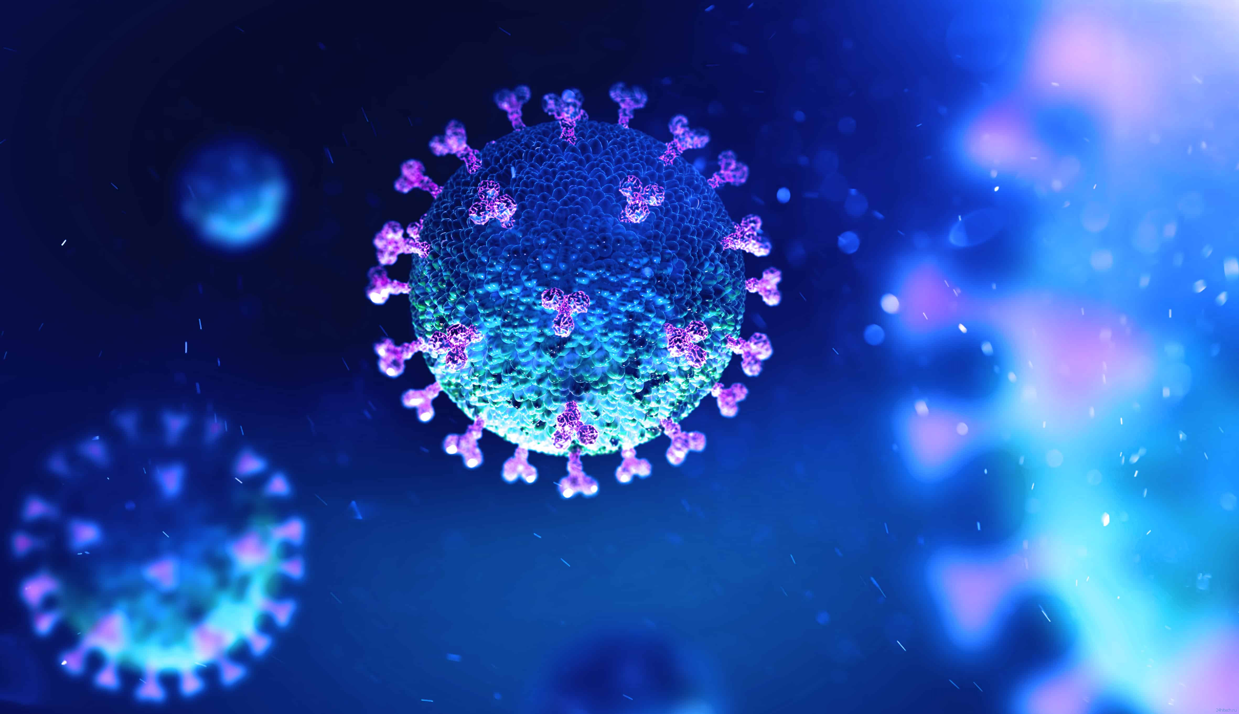 Может ли коронавирус пережить воздействие высоких температур?