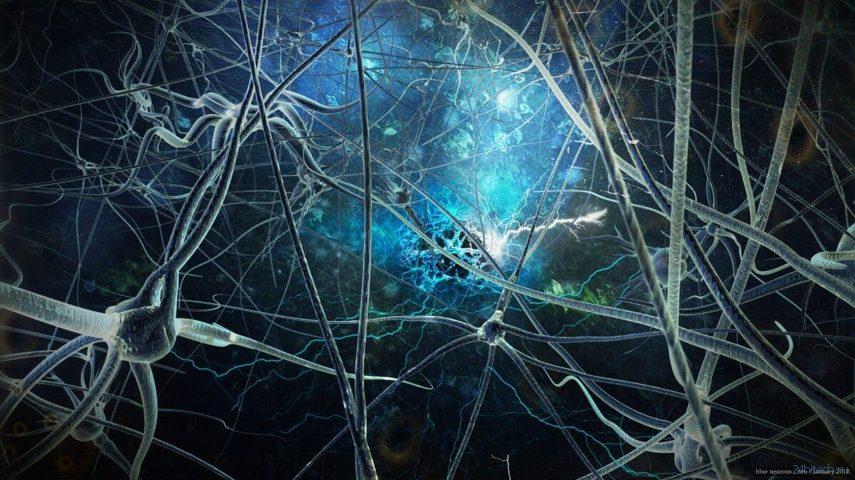 Обнаружены нейронные связи, ответственные за появление сознания