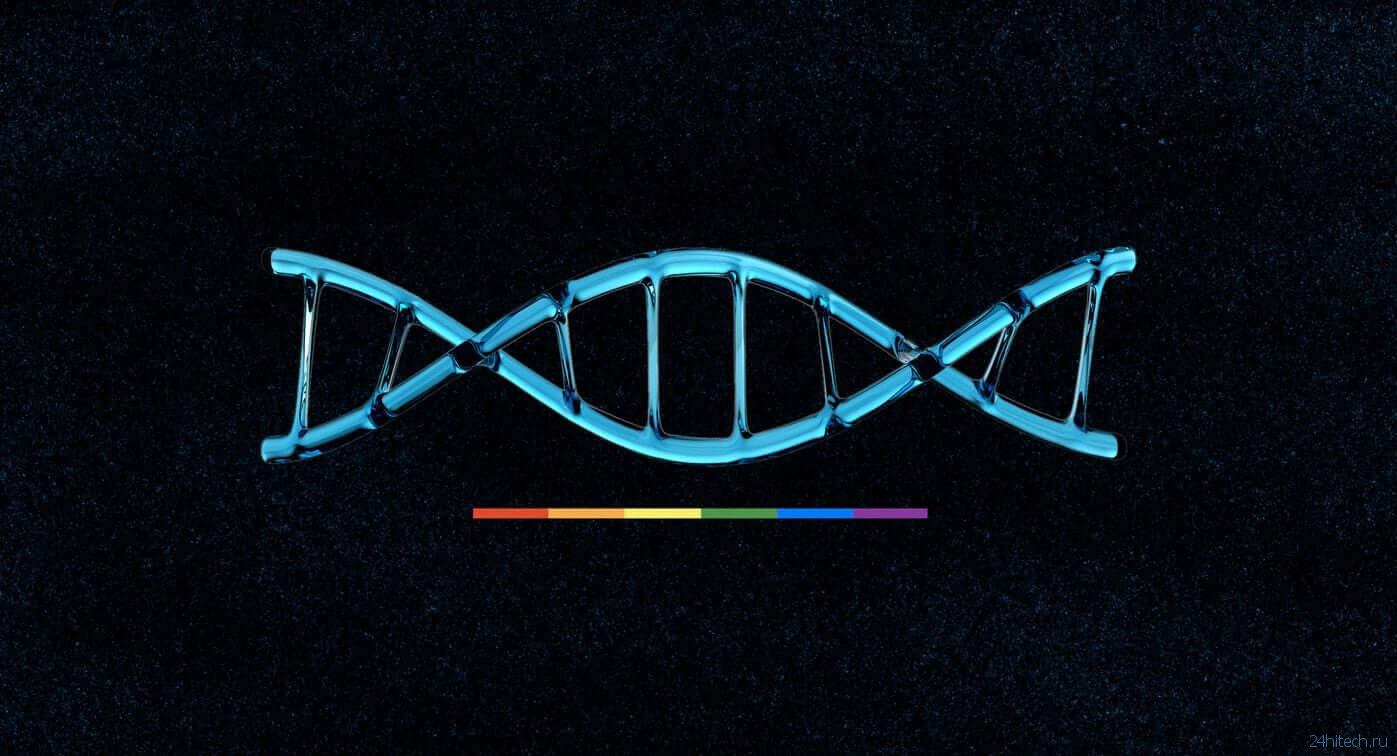 Определяют ли гены сексуальную ориентацию?