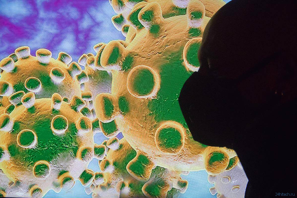 Как остановить пандемию нового коронавируса? Четыре возможных сценария