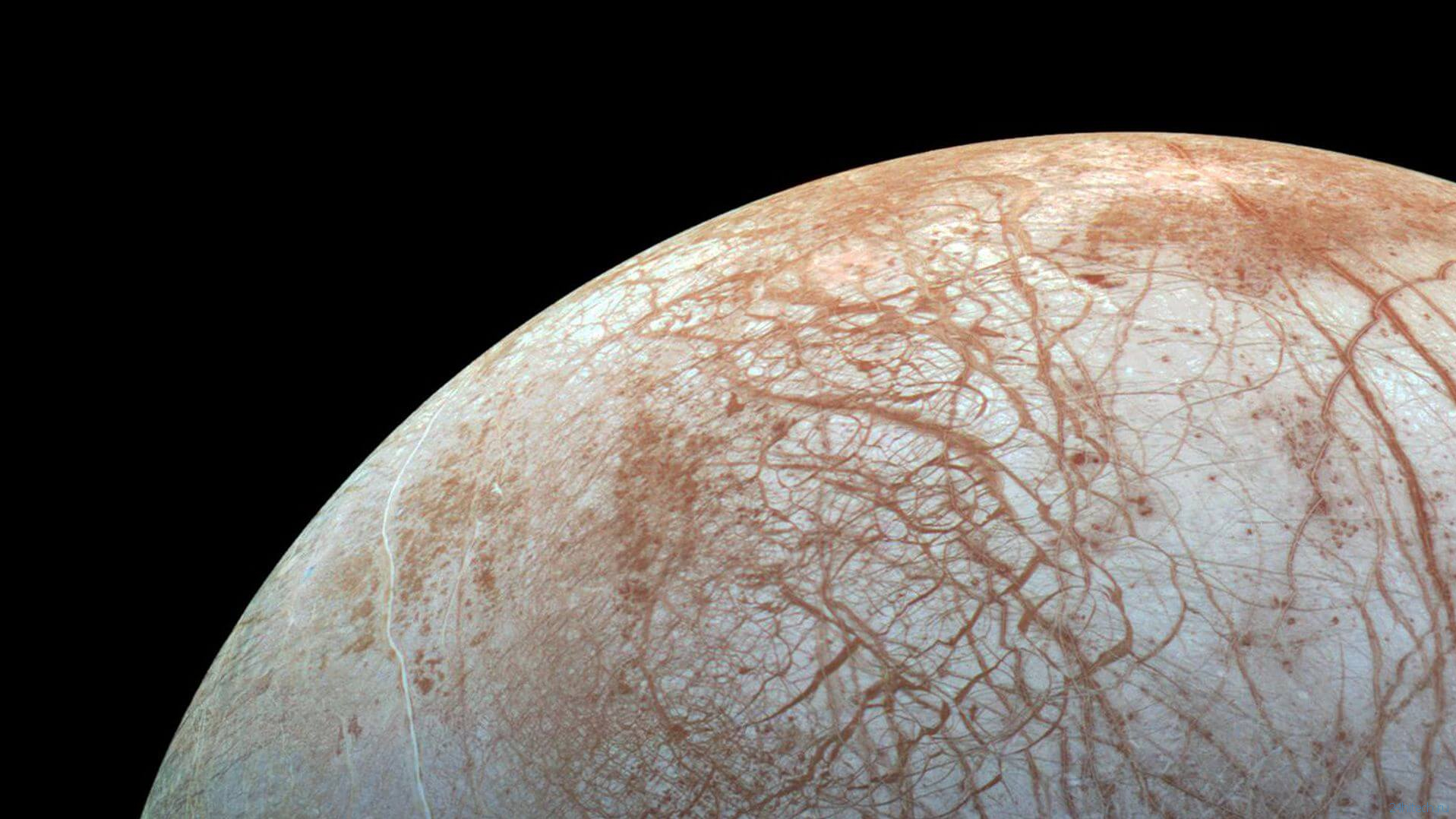 Подо льдами спутника Юпитера могут обитать высшие формы жизни