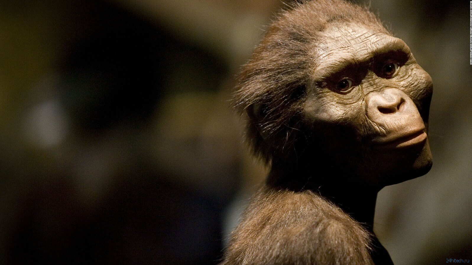 Произошел ли человек от обезьяны?