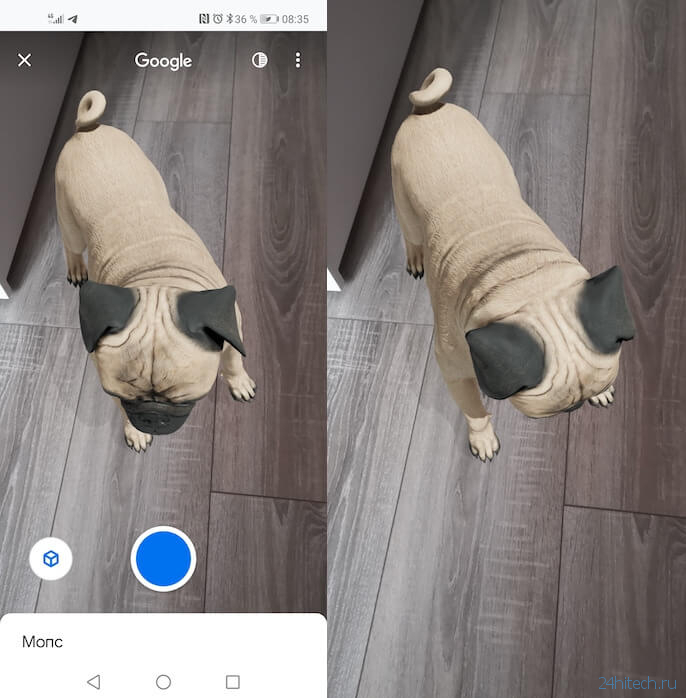 Как фотографировать и снимать на видео 3д-животных в Google