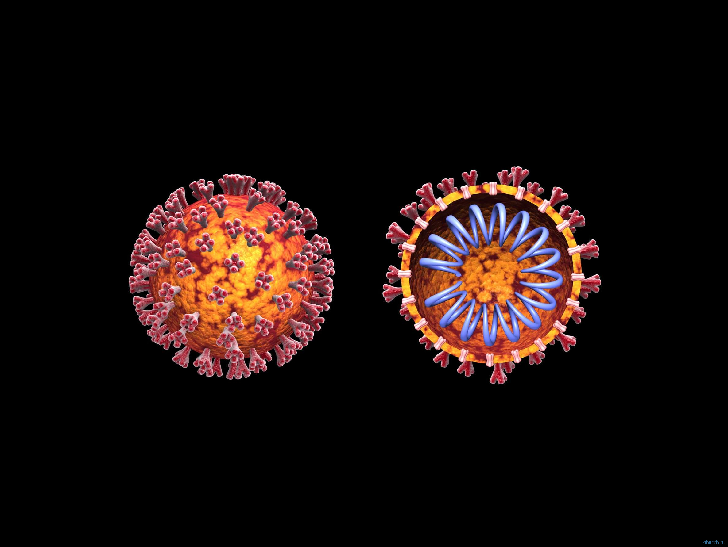 Вакцина против COVID-19: получены результаты первых испытаний на людях