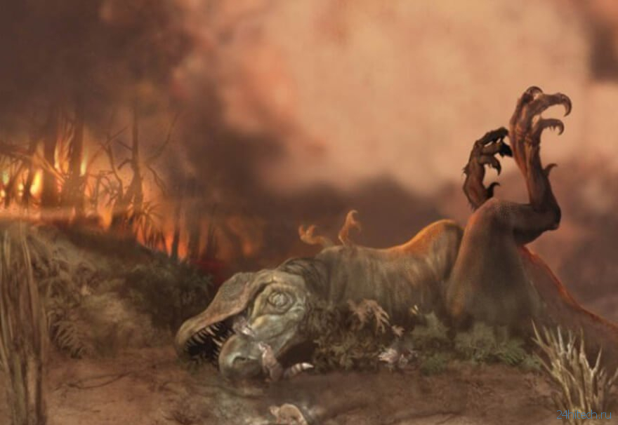 Из-за чего миллионы лет назад произошло массовое вымирание животных?