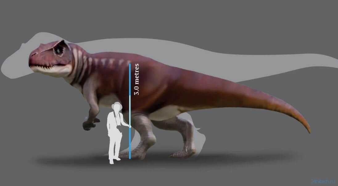 В Австралии жили загадочные динозавры, которые разорвали бы людей на куски