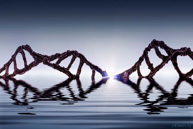 Жизнь на Земле могла появиться в результате гибрида молекул ДНК и РНК