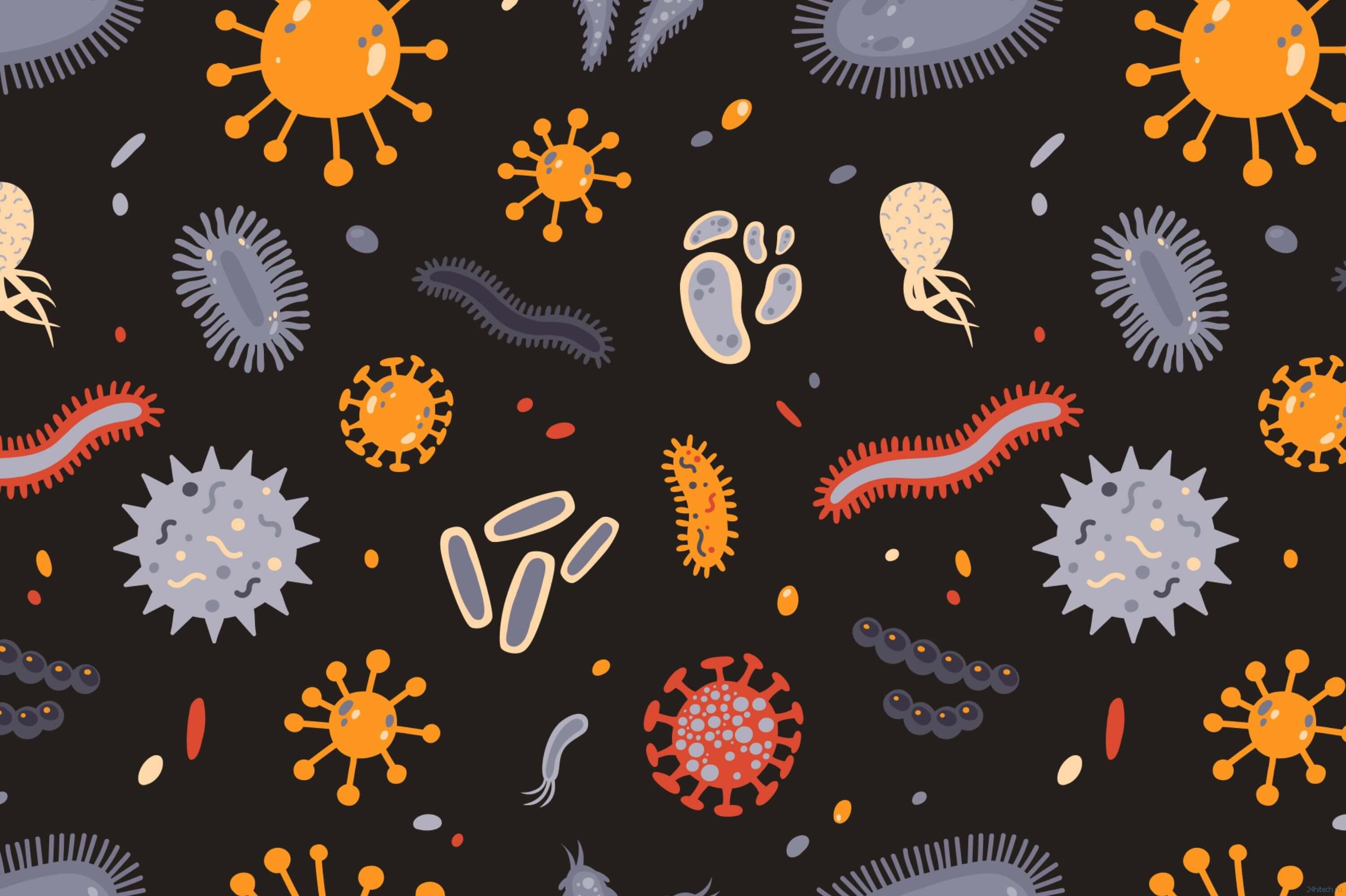 Чем отличаются бактерии, микробы и вирусы?