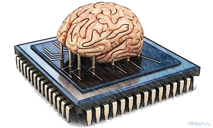 Сколько ГБ памяти может запомнить человеческий мозг