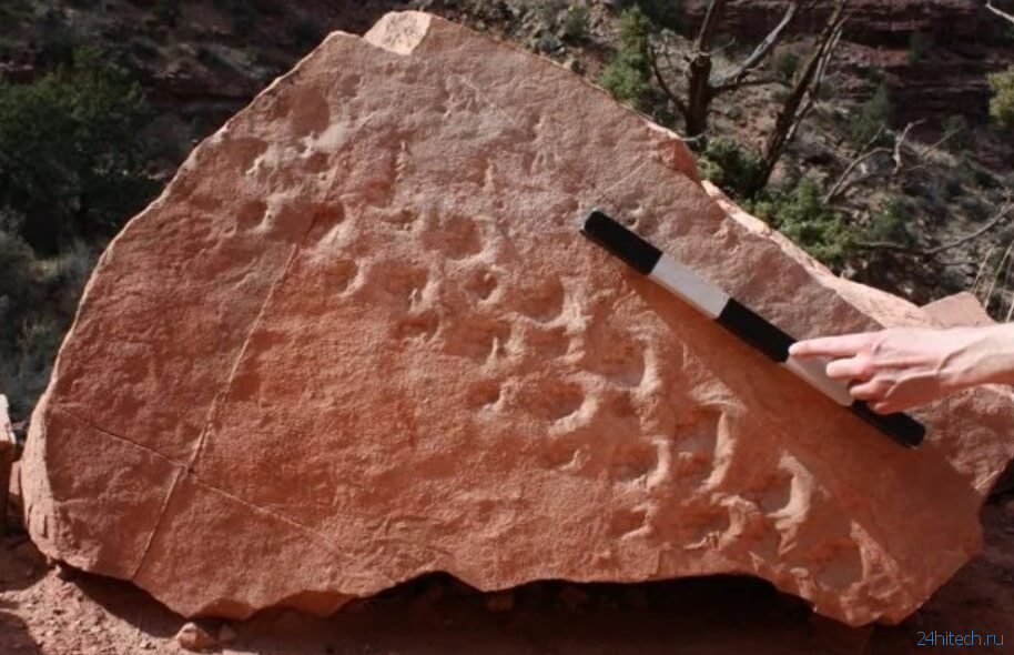 В США обрушилась скала и обнажила следы загадочных животных древности