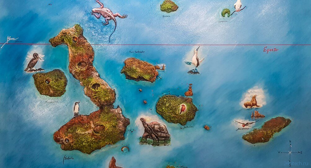 В Тихом океане найдены 30 новых форм жизни