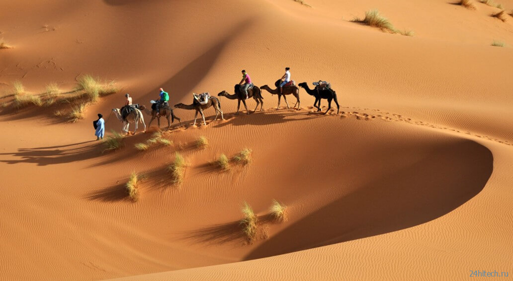 Пустыня Сахара не настолько пуста, как кажется 