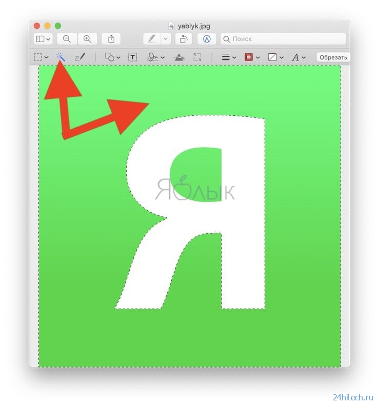 Как сделать изображение с прозрачным фоном на Mac в программе Просмотр