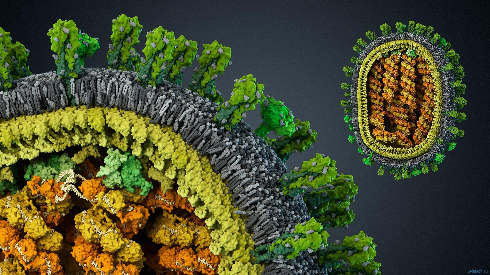 Как отличить коронавирус от гриппа и простуды? 