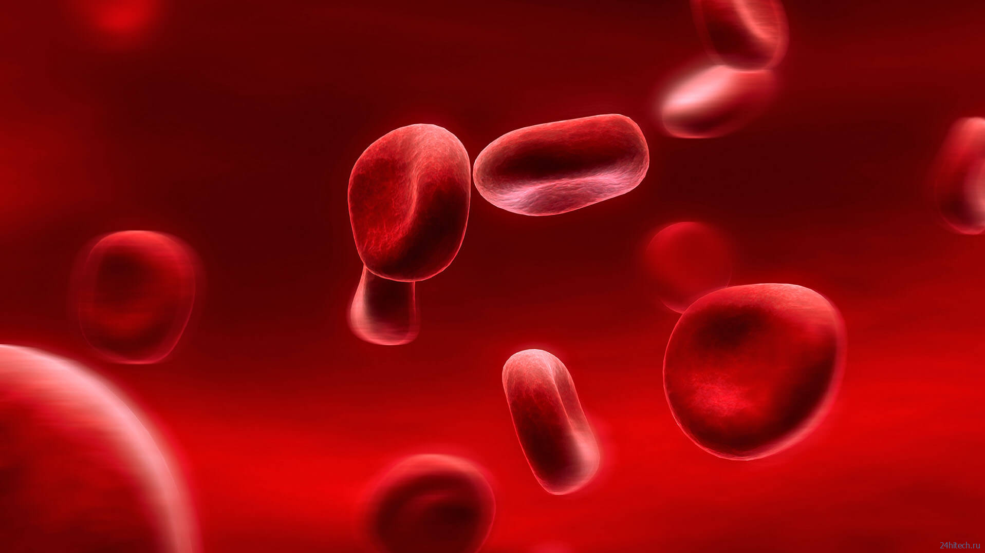 Почему у людей разные группы крови? 