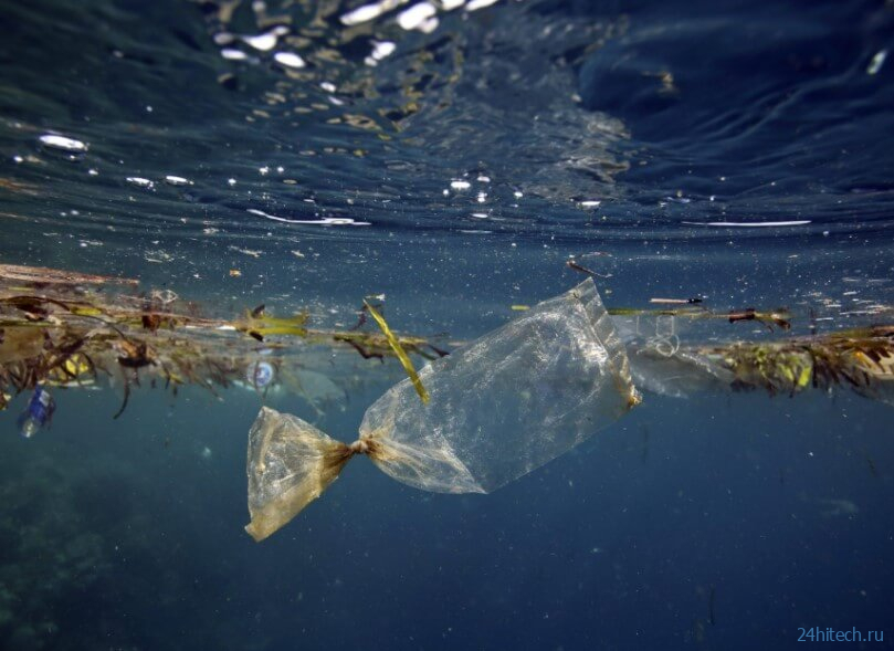 Кто может очистить моря и океаны от пластикового мусора? 