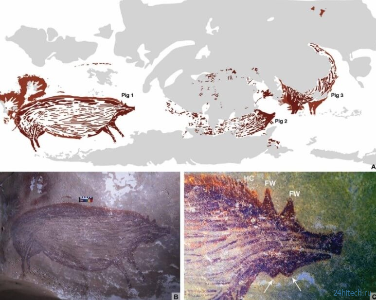 В Индонезии найден самый древний рисунок с животными. Ему 45 500 лет 