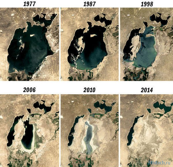 Каспийское море находится под угрозой исчезновения 