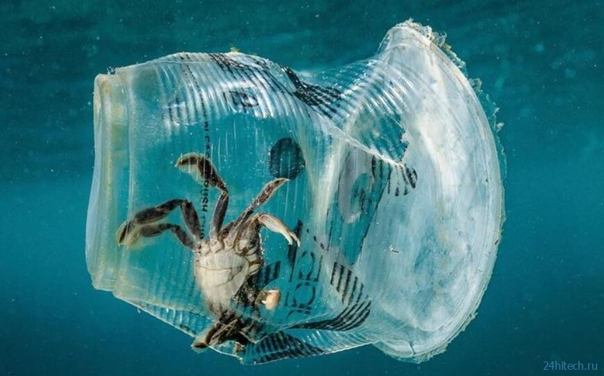 Кто может очистить моря и океаны от пластикового мусора? 