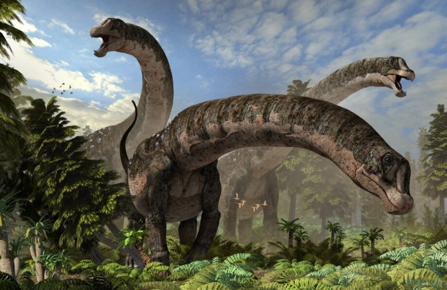 Найдены останки самого крупного животного в истории Земли 