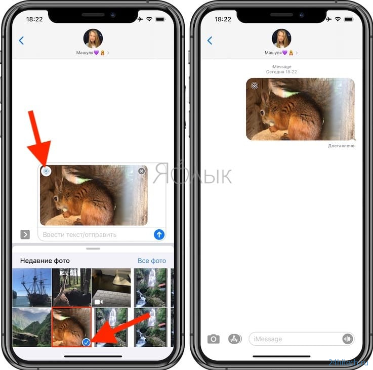 Как поделиться Живыми фото (Live Photos) на iPhone, Mac, Android и Windows